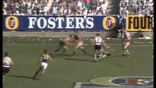 1992 AFL Grand Final West Coast vs Geelong