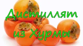 Дистиллят из хурмы.