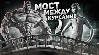 Мост между курсами стероидов. Базовый и продвинутый вариант. Подробный разбор.