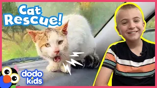 Angry Wild Cat Becomes His Rescuer’s Best Friend | Animal Videos For Kids | Dodo Kids