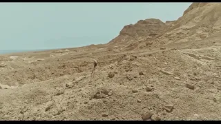 اعلان فيلم ابو نفر السائح