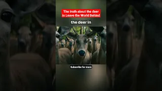 What do the deer mean? | "Leave The World Behind" Explained