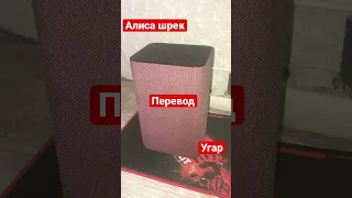 АЛИСА НАЗВАЛА ШРЕКА НА ДРУГОМ ЯЗЫКЕ #яндексалиса #приколы #алиса #яндекс #яндексалисаприколы #яндекс