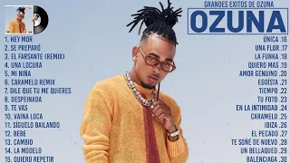 Ozuna Mix Exitos 2023 - Ozuna Lo Mas Nuevo 2023 - Grandes Exitos De Ozuna - Reggaeton Mix 2023