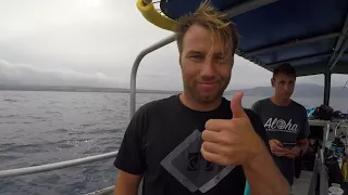 OceanOne Testing the FREEDOM+ Surf on Sandbar & Galapagos Sharks