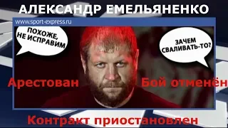 Александр Емельяненко Арестован | Что дальше? Контракт приостановлен, бой отменён. 2019