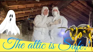 Day 9 of a big renovationthe attic is safe now!