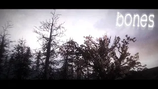 b murph - bones (ft. heylog) (slowed + reverb)