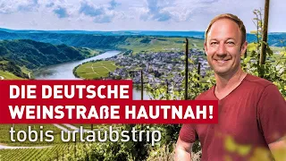 The German Wine Route up close! | Tobi's vacation trip | experience hesse | documentary | to travel