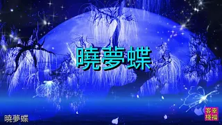 YPT16《曉夢蝶》 心靈音樂｜休閒音樂｜佛教音樂｜禪修音樂｜太極拳背景音樂＞無痕加長珍藏版