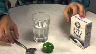 Experiment 7.3 gekochtes Ei + Salzwasser