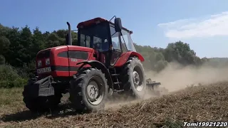 Mtz-1025.3 + RabeWerk Tárcsázás {2019}