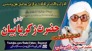 Molana Bijlee Gar Sahb Audio Bayan ||Hazrat Zikriya A.S Bayan ||مولانا محمد امیر بجلی گھر صاحب بیان