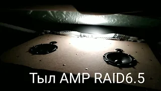 Загадочная компонентка AMP RAID6.5