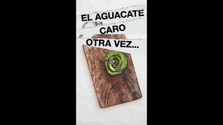 ¿Por qué el precio del aguacate en CDMX está caro?