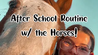 After School Routine With My Horses! | Jacely Marie