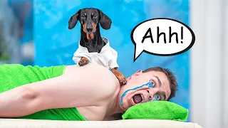 Ease Your Pain! Cute & funny dachshund dog video!