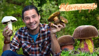 Das Große Pilz-Erwachen 2024 😀 ersten Hexen, Pfifferlinge, Champignons und andere Arten! 💪🏻