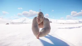 Albino Gorilla in the North