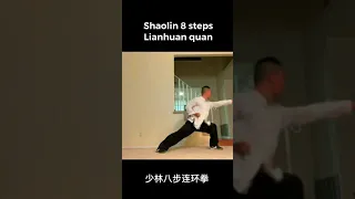 Shaolin 8 steps lianhuan quan part 1 / 少林八步连环拳