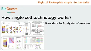 Single cell technology pipeline - Raw data to Analysis - Overview