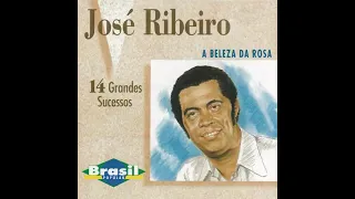 José Ribeiro - A Beleza da Rosa