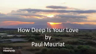 Paul Mauriat - How Deep Is Your Love