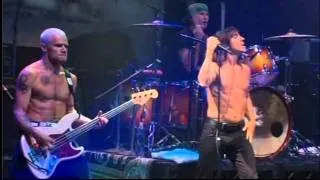 Red Hot Chili Peppers - Ramones Tribute 2004