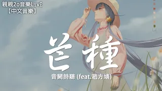 音闕詩聽 - 芒種 (feat.趙方婧)【動態歌詞Lyrics】