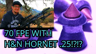 AEA HP .25 BULLPUP VS. "ARMOR PIERCING" METAL TIPPED AIRGUN PELLET FROM H&N! HN HORNET REVIEW 2021!