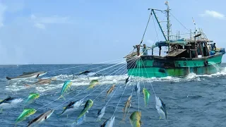 LINE FISHING - LOT OF LIVE FISH CATCHING AT SEA