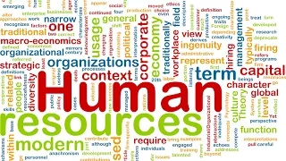 English for Human Resources VV 43 - HR Management (1) | Business English Vocabulary