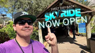 SKYRIDE IS OPEN AT BUSCH GARDENS TAMPA - First Day Back + MARDI GRAS 2024 Food & Drink Festival Tour