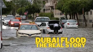 Dubai Floods (The REAL Story) - Hindi Vlog 104