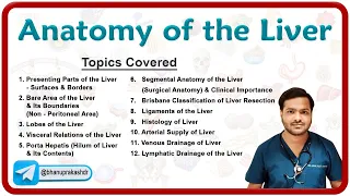 Anatomy Of the Liver By Dr. Abhijeet