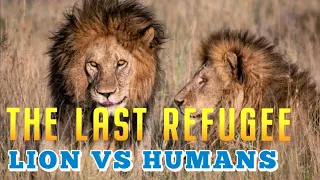 THE LAST REFUGE LION VS HUMAN | African wildlife documentary | Wildlife documentary in Hindi