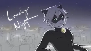 Lovely Night // Miraculous Ladybug Animatic