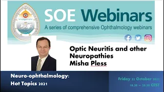 Optic Neuritis and other Optic Neuropathies - Misha Pless