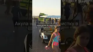 Нападение акулы в Египте