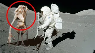 Ceea ce Au Găsit ASTRONAUȚII în COSMOS o să te UIMEASCĂ!