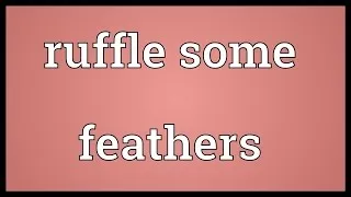 Ruffle some feathers Meaning