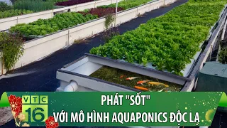 Phát "sốt" với mô hình Aquaponics độc lạ: Nuôi cá, trồng rau, nuôi gà ngay sân thượng | VTC16