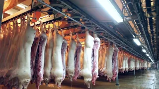 Amazing Pig Farm Technology - Modern Pig Slaughter & Processing Factory - Gourmet Sausage Production