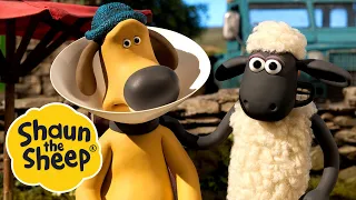 Sheep Farmer / Cone of Shame | 2 x Episodes S5 | Shaun the Sheep