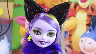 Kitty Chesire - Way Too Wonderland - Ever After High - CJF39 CJF41 - Love Toys