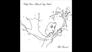 Clap Your Hands Say Yeah - A Chance To Cure