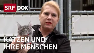 Katzenliebe in der Schweiz | Katzen und ihre Menschen |  Doku | SRF Dok