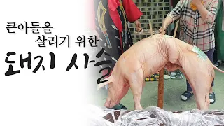 아들 수명 연장을 위한 어머니의 모성, 돼지사슬 / 달빛도령 만연당