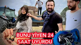 ESKİDEN ÇOCUKLARA VERİRLERDİ 24 SAAT UYURDU !!! DAĞLARIN ARASINDA ALABALIK ÇİFTLİĞİ / KÖY HAYATI /