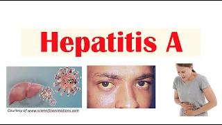 Hepatitis A  | Virus, Risk Factors, Pathophysiology, Signs & Symptoms, Diagnosis, Treatment